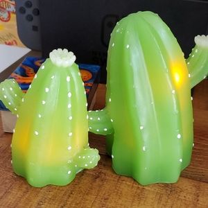 Cactus set with lifhts